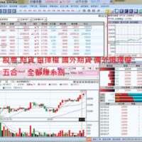 股票、期貨、選擇權 股票、期貨、選擇權