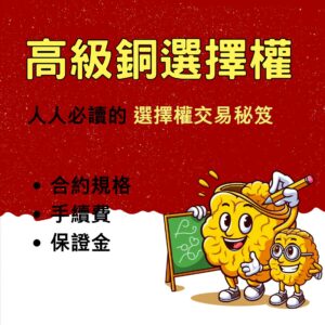 高級銅選擇權，高級銅選擇權手續費，高級銅選擇權保證金，高級銅選擇權交易時間，高級銅選擇權一點多少錢